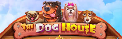 The Pet House evaluation 2026